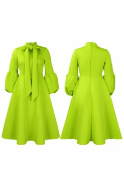 Bow Neck Lantern Sleeve A-line Dress 10 Bow Neck Lantern Sleeve A-line Dress -Acorpstyle 2024 01 19T165142.143 1