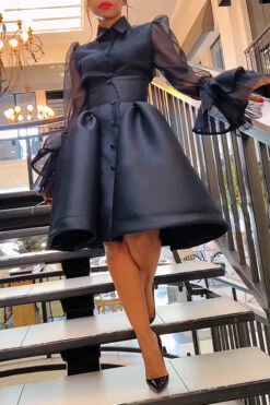 Chic Mesh Ruffle Sleeve Blouse & Skirt Set 17 Chic Mesh Ruffle Sleeve Blouse & Skirt Set -Acorpstyle XTF6427 BK 5