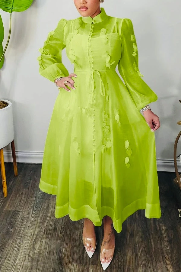 High Neck Hollow Out Lantern Sleeve Dress 7 High Neck Hollow Out Lantern Sleeve Dress - Image 7