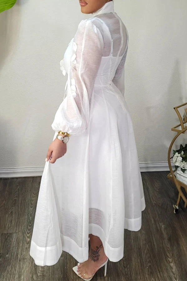 High Neck Hollow Out Lantern Sleeve Dress 2 High Neck Hollow Out Lantern Sleeve Dress - Image 2