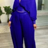 Casual Pleated Batwing Sleeve Top & Wide Leg Pants Set