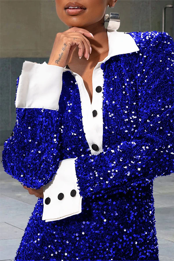 Chic Sequin Panel Shift Maxi Dress 2 Chic Sequin Panel Shift Maxi Dress - Image 2