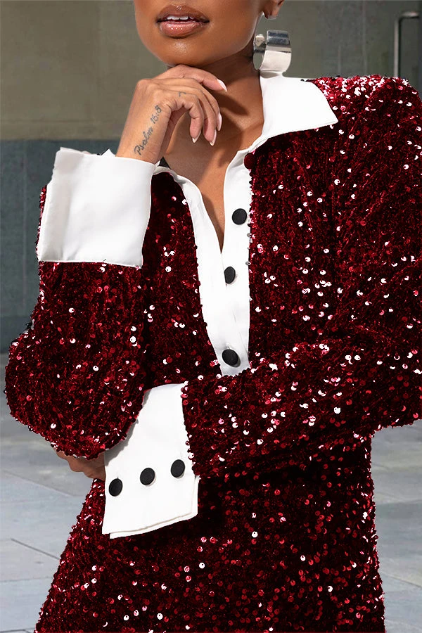 Chic Sequin Panel Shift Maxi Dress 4 Chic Sequin Panel Shift Maxi Dress - Image 4