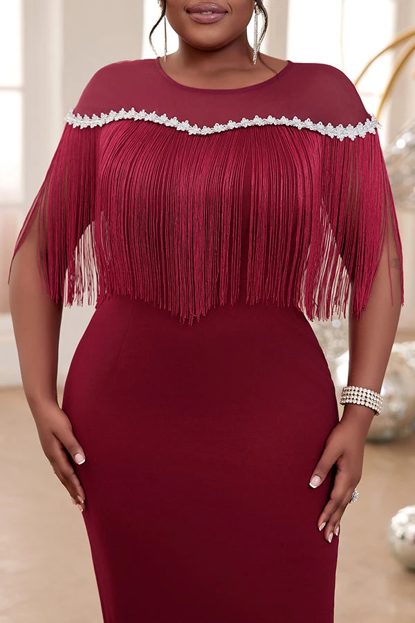 Stunning Mesh Panel Tassel Lacy Formal Dress 2 Stunning Mesh Panel Tassel Lacy Formal Dress - Image 2