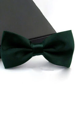 Stylish Adjustable Bow Tie -Acorpstyle XTY6889 AG 1